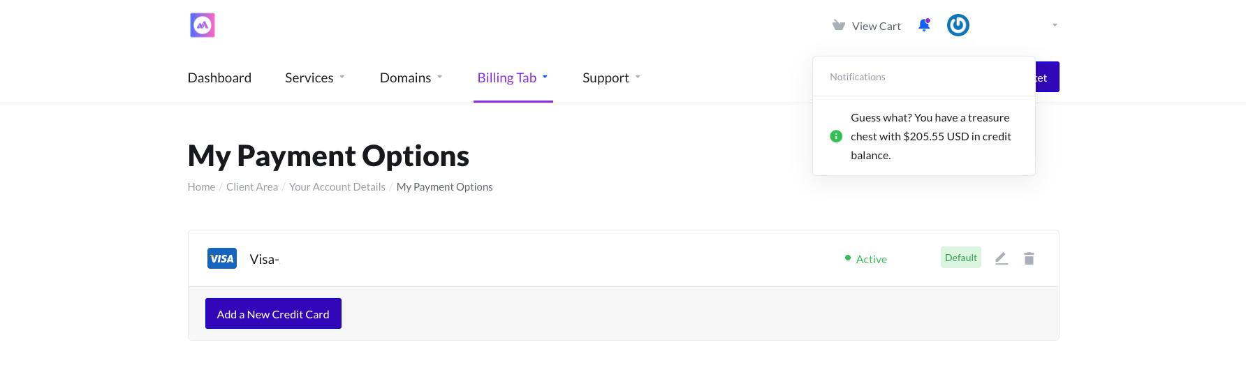 Fund Your WebHostingM Account